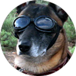 Profile photo of Spencer Livia