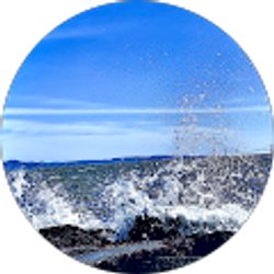 Profile photo of Ang Sherpa