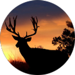 Profile photo of Michael Naylor