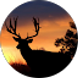 Profile photo of Michael Naylor