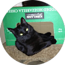 Profile photo of Garrett Newton