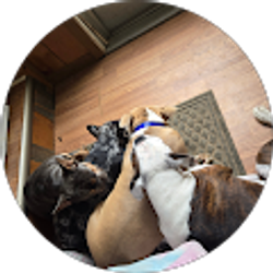 Profile photo of Crystal Parrish