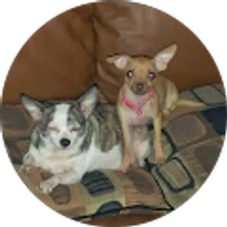 Profile photo of Gina Arsenault