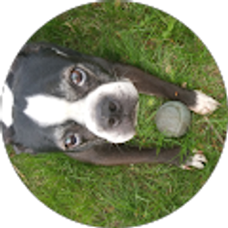 Profile photo of tony martinez