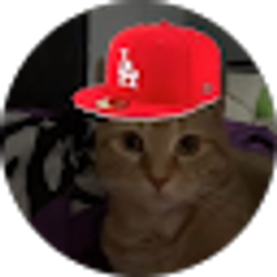 Profile photo of Xing Spax