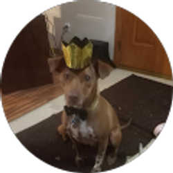 Profile photo of Jessica Wyffels