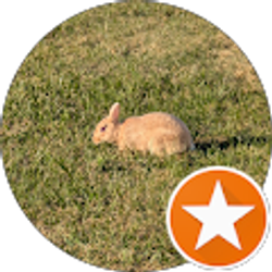 Profile photo of Steven Golle