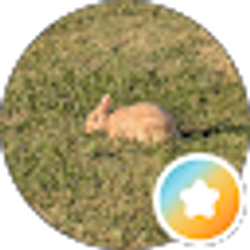 Profile photo of Steven Golle