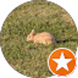 Profile photo of Steven Golle