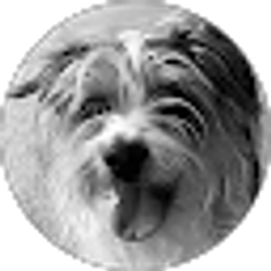 Profile photo of Tim Miller