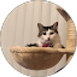 Profile photo of Lanita Rashid