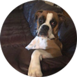 Profile photo of Landyn Parsley