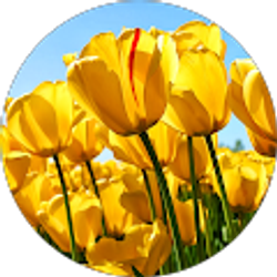 Profile photo of Jodi Jewkes