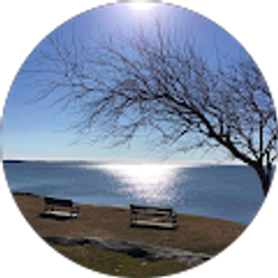 Profile photo of Beverly Carmo