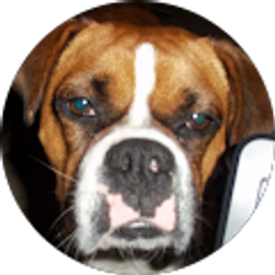 Profile photo of Kimberly Davis