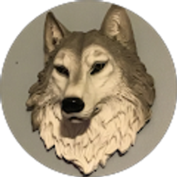 Profile photo of Rosa M Reyes