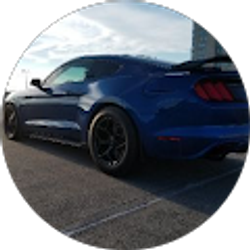 Profile photo of 727-SteveD