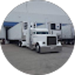 Profile photo of Peter Bilt