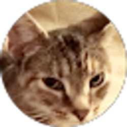 Profile photo of Carol Alcantar