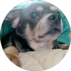 Profile photo of Lindsey Zajac