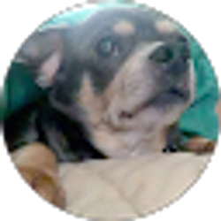 Profile photo of Lindsey Zajac