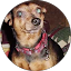 Profile photo of James LeBlanc
