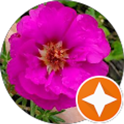 Profile photo of Diana I. Rivera-Meigh