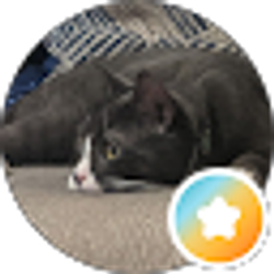 Profile photo of Michael Housser