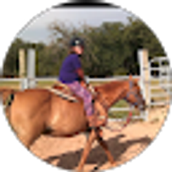 Profile photo of Horseback Productions