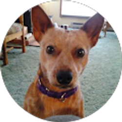 Profile photo of Cherie Mayfield