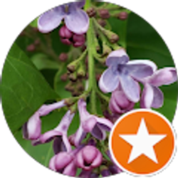 Profile photo of L W