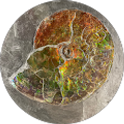 Profile photo of Allisha Ishaque