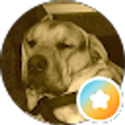 Profile photo of Chris “Koa”