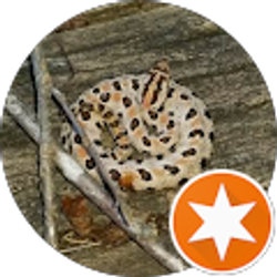 Profile photo of Steph McCarty