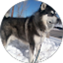 Profile photo of Mike G