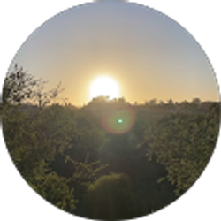 Profile photo of Fuentes Rivera Gabriela