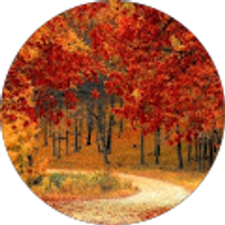 Profile photo of saba turashvili