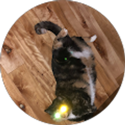 Profile photo of Stacy Baltzegar