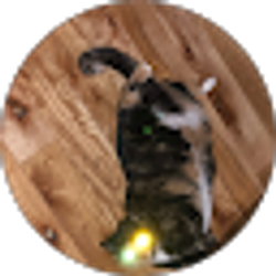 Profile photo of Stacy Baltzegar