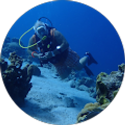 Profile photo of Jack Mariage