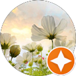 Profile photo of Majeed Hakeemzai