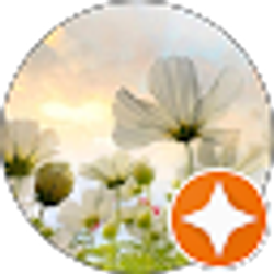 Profile photo of Majeed Hakeemzai