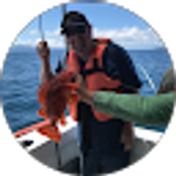 Profile photo of Rick Stock