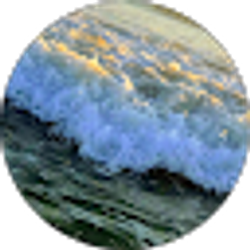 Profile photo of Daniel Carr