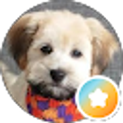Profile photo of Edie Allen