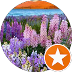 Profile photo of Victor Alarcon