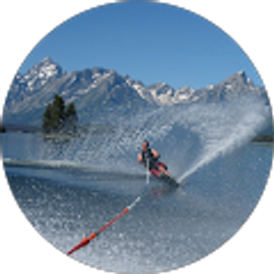 Profile photo of Steve Whitney