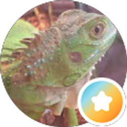Profile photo of Scott James