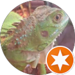 Profile photo of Scott James