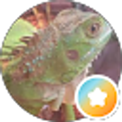 Profile photo of Scott James